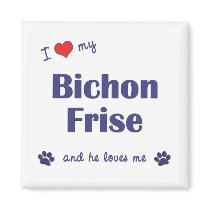 I Love My Bichon Frise (Male Dog) Magnet