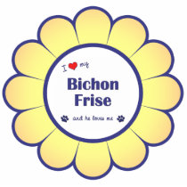 I Love My Bichon Frise (Male Dog) Ornament photo sculptures