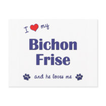 I Love My Bichon Frise (Male Dog) Post Cards