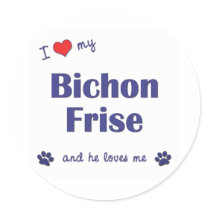 I Love My Bichon Frise (Male Dog) Stickers