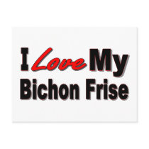 I Love My Bichon Frise Merchandise Post Card