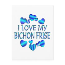 I Love My Bichon Frise postcards