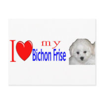 I love my bichon frise puppy post cards