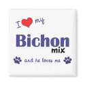 I Love My Bichon Mix (Male Dog) magnets by muttybuddy I Love My Bichon Mix (Male Dog) magnets