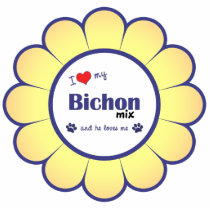 I Love My Bichon Mix (Male Dog) Ornament photo sculptures