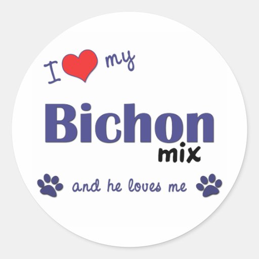 I Love My Bichon Mix (Male Dog) Round Stickers
