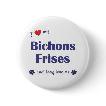 I Love My Bichons Frises (Multiple Dogs) Button