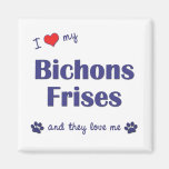 I Love My Bichons Frises (Multiple Dogs) Magnets