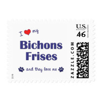 I Love My Bichons Frises (Multiple Dogs) Stamp