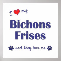 I Love My Bichons Frises (Multiple Dogs) Poster