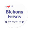 I Love My Bichons Frises (Multiple Dogs) stickers