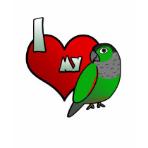 I Love my Black Capped Conure t-shirts by MenagerieMayhem I Love my Black Capped Conure t-shirts