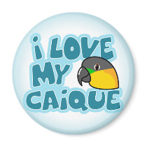 I Love My Black Headed Caique Magnet by MenagerieMayhem I Love My Black Headed Caique Magnet
