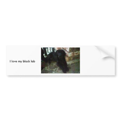 I love my black lab bumper sticker by aimwolf