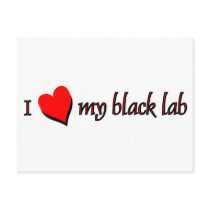 I Love my Black Labrador postcards
