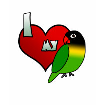 I Love my Black Masked Lovebird t-shirts by MenagerieMayhem I Love my Black Masked Lovebird t-shirts