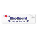 I Love My Bloodhound (Female Dog) bumper stickers by thatsalottadogs I Love My Bloodhound (Female Dog) bumper stickers