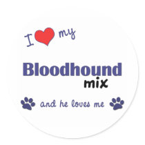 I Love My Bloodhound Mix (Male Dog) stickers