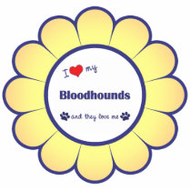 I Love My Bloodhounds (Multi Dogs) Ornament photo sculptures