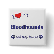I Love My Bloodhounds (Multiple Dogs) buttons by thatsalottadogs I Love My Bloodhounds (Multiple Dogs) buttons