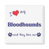 I Love My Bloodhounds (Multiple Dogs) magnets by thatsalottadogs I Love My Bloodhounds (Multiple Dogs) magnets