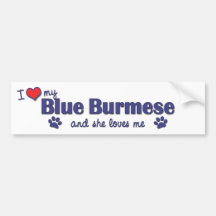 I Love My Blue Burmese (Female Cat) Bumper Stickers
