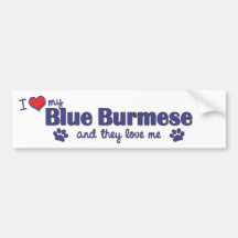 I Love My Blue Burmese (Multiple Cats) Bumper Stickers
