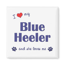I Love My Blue Heeler (Female Dog) magnets by thatsalottadogs I Love My Blue Heeler (Female Dog) magnets