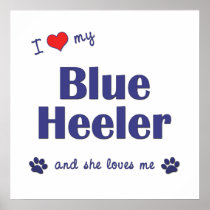 I Love My Blue Heeler (Female Dog) Posters