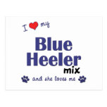 I Love My Blue Heeler Mix (Female Dog) Post Cards