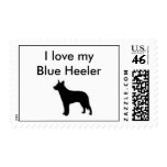 I love my Blue Heeler postage