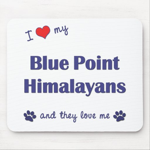I Love My Blue Point Himalayans (Multiple Cats) Mousepad