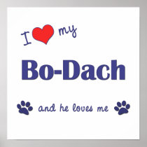 I Love My Bo-Dach (Male Dog) Print