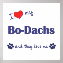 I Love My Bo-Dachs (Multiple Dogs) Poster
