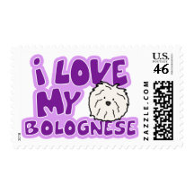 I Love My Bolognese Stamps