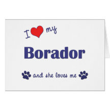 I Love My Borador (Female Dog) Greeting Card