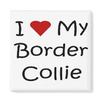 I Love My Border Collie Dog Lover Gifts Magnet