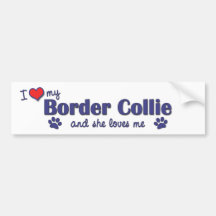 I Love My Border Collie (Female Dog) Bumper Stickers