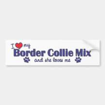 I Love My Border Collie Mix (Female Dog) Bumper Stickers