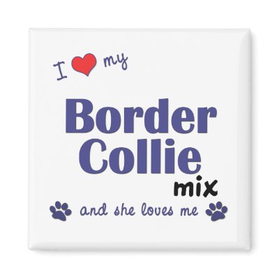 I Love My Border Collie Mix (Female Dog) Fridge Magnets