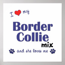 I Love My Border Collie Mix (Female Dog) Poster