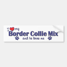 I Love My Border Collie Mix (Male Dog) Bumper Stickers