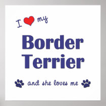 I Love My Border Terrier (Female Dog) Poster