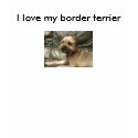 I love my border terrier hoodie t-shirts
