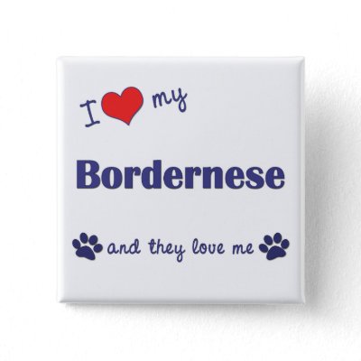 bordernese dogs
