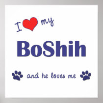 I Love My BoShih (Male Dog) Posters
