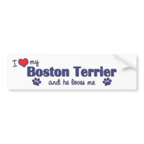 I Love My Boston Terrier (Male Dog) Bumper Stickers