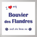 I Love My Bouvier des Flandres (Female Dog) Print