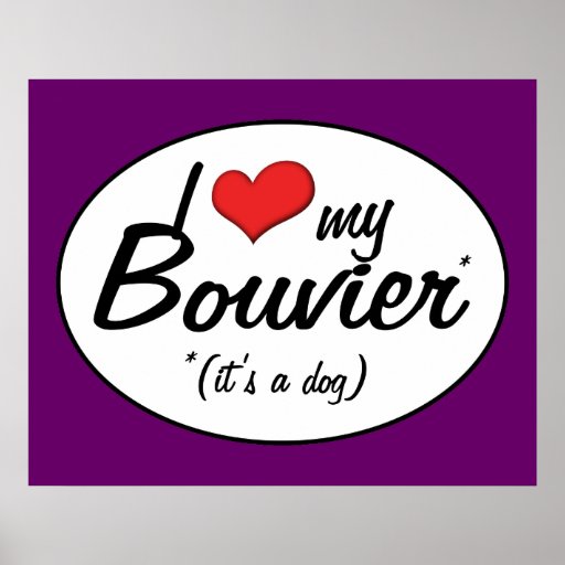 I Love My Bouvier (It's a Dog) Posters