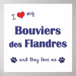I Love My Bouviers des Flandres (Multiple Dogs) Poster